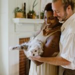 Grundläggande kattvård