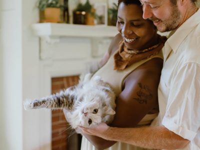 Grundläggande kattvård